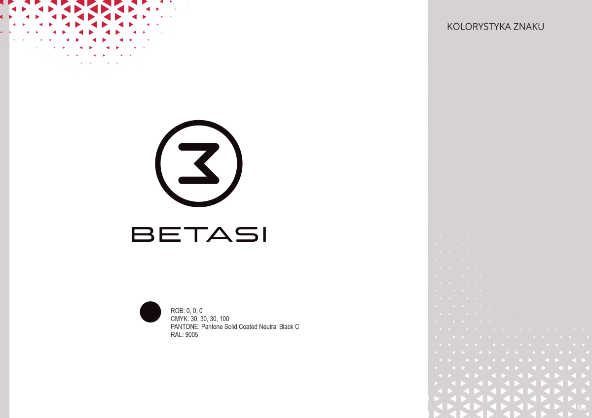 Betasi Corporate Identity rebranding book